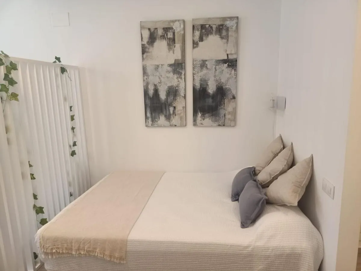 Estudio 28 Febrero タリファ